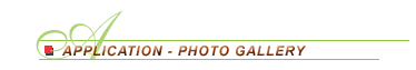 Application - Photo Gallery