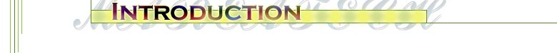 Introduction