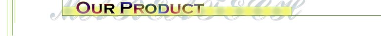 Our Product